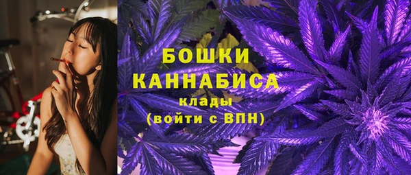твердый Абаза