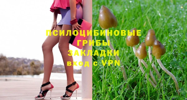 твердый Абаза
