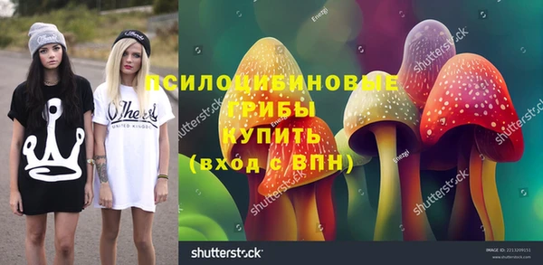 метадон Алексин